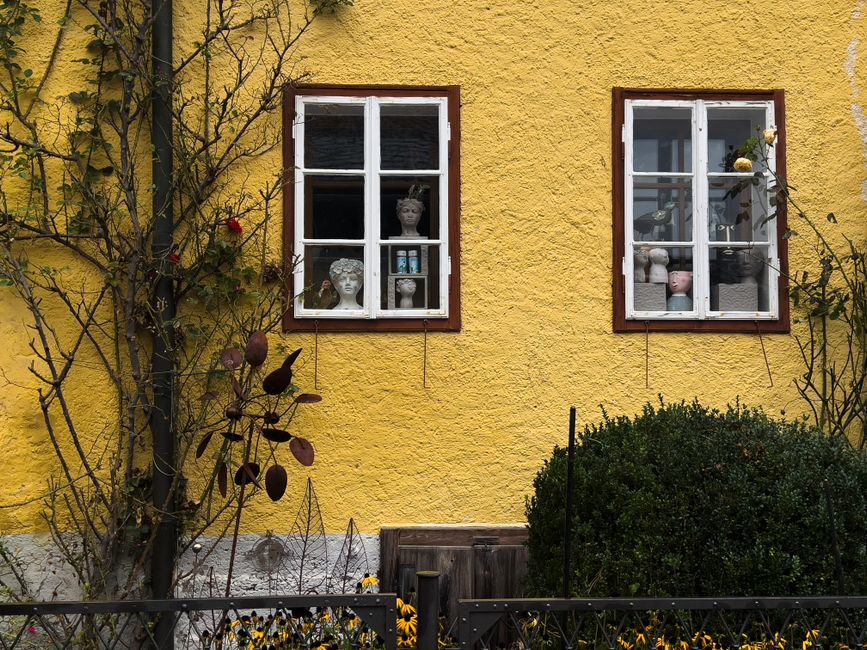 A yellow painted wall with two white framed windows.